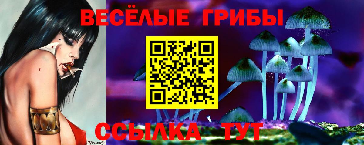 Ивантеевка  Галлюциногенные грибы Magic Shrooms  Вход с VPN 